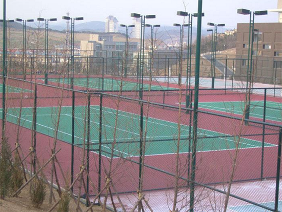 圍網(wǎng)燈光 (2)